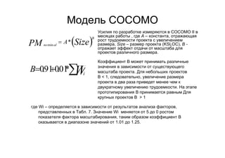 IT project management