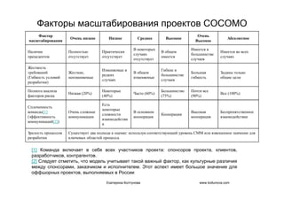 IT project management