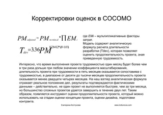 IT project management