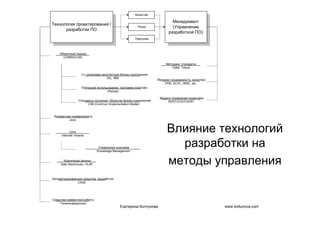 IT project management