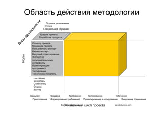 IT project management