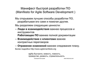 IT project management