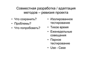 IT project management