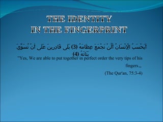 ” Yes, We are able to put together in perfect order the very tips of his fingers.„  (The Qur'an, 75:3-4) أَيَحْسَبُ الْإِنْسَانُ أَلَّنْ نَجْمَعَ عِظَامَهُ  (3)  بَلَى قَادِرِينَ عَلَى أَنْ نُسَوِّيَ بَنَانَهُ  (4) 