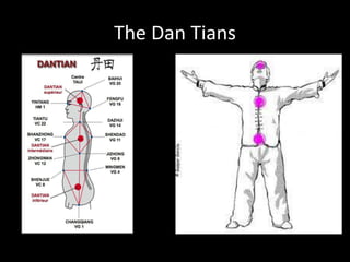 The Dan Tians
 