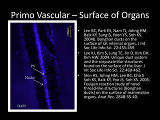 Primo Vascular – Surface of Organs
• Lee BC, Park ES, Nam TJ, Johng HM,
Baik KY, Sung B, Yoon YS, Soh KS.
2004b. Bonghan ducts on the
surface of rat internal organs. J Int
Soc Life Info Sci. 22:455-459.
• Lee KJ, Kim S, Jung TE, Jin D, Kim DH,
Kim HW. 2004. Unique duct system
and the sorpuscle-like structures
found on the surface of the liver. J
Int Soc Life Info Sci. 22:460-462.
• Shin HS, Johng HM, Lee BC, Cho S
Soh KS, Baik KY, Yoo JS, Soh KS. 2005.
Feulgen reaction study of novel
thread-like structures (Bonghan
ducts) on the surface of mammalian
organs. Anat Rec. 284B:35-40.
 