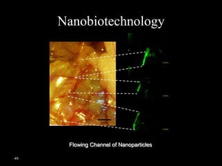 -49-
Nanobiotechnology
Flowing Channel of Nanoparticles
 