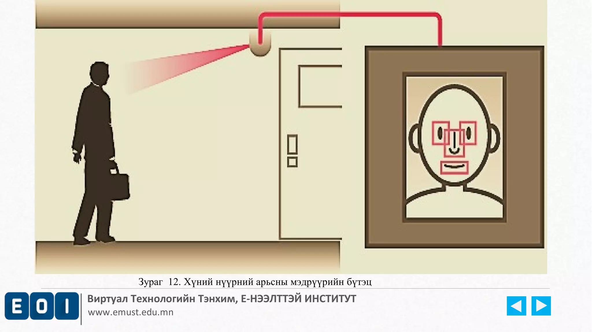 Зураг 12. Хүний нүүрний арьсны мэдрүүрийн бүтэц 
Виртуал Технологийн Тэнхим, Е-НЭЭЛТТЭЙ ИНСТИТУТ 
www.emust.edu.mn 
 