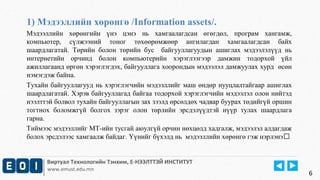 1) Мэдээллийн хөрөнгө /Information assets/. 
Мэдээллийн хөрөнгийн үнэ цэнэ нь хамгаалагдсан өгөгдөл, програм хангамж, 
компьютер, сүлжээний тоног төхөөрөмжөөр ангилагдан хамгаалагдсан байх 
шаардлагатай. Төрийн болон төрийн бус байгууллагуудын ашиглах мэдээлэлүүд нь 
интернетийн орчинд болон компьютерийн хэрэглээгээр дамжин тодорхой үйл 
ажиллагаанд өргөн хэрэглэгдэх, байгууллага хоорондын мэдээлэл дамжуулах хурд өсөн 
нэмэгдэж байна. 
Тухайн байгууллагууд нь хэрэглэгчийн мэдээллийг маш өндөр нууцлалтайгаар ашиглах 
шаардлагатай. Хэрэв байгууллагад байгаа тодорхой хэрэглэгчийн мэдээлэл олон нийтэд 
нээлттэй болвол тухайн байгууллагын зах зээлд өрсөлдөх чадвар буурах төдийгүй оршин 
тогтнох боломжгүй болгох зэрэг олон төрлийн эрсдэлүүдтэй нүүр тулах шаардлага 
гарна. 
Тиймээс мэдээллийг МТ-ийн тусгай аюулгүй орчин нөхцөлд хадгалж, мэдээлэл алдагдаж 
болох эрсдэлээс хамгаалж байдаг. Үүнийг бүхэлд нь мэдээллийн хөрөнгө гэж нэрлэнэ 
Виртуал Технологийн Тэнхим, Е-НЭЭЛТТЭЙ ИНСТИТУТ 
www.emust.edu.mn 
6 
 