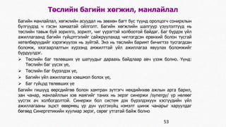 Төслийн багийн хөгжил, манлайлал 
Багийн манлайлал, хөгжлийн асуудал нь зөвхөн багт бус түүнд оролцогч сонирхлын 
бүлгүүдэд ч гэсэн хамаатай ойлголт. Багийн хөгжлийн шалгуур үзүүлэлтүүд нь 
төслийн тавьж буй зорилго, зорилт, чиг үүрэгтэй холбоотой байдаг. Баг бүрдэх үйл 
ажиллагаанд багийн гүйцэтгэлийг сайжруулахад чиглэгдсэн ерөнхий болон тусгай 
хөтөлбөрүүдийг хэрэгжүүлэх нь зүйтэй. Энэ нь төслийн баримт бичигтээ тусгагдсан 
боломж, хязгаарлалтын хүрээнд амжилттай үйл ажиллагаа явуулах боломжийг 
бүрдүүлдэг. 
 Төслийн баг төлөвших үе шатуудыг дараахь байдлаар авч үзэж болно. Үүнд: 
Төслийн баг үүсэх үе, 
 Төслийн баг бүрэлдэх үе, 
 Багийн үйл ажиллагаа хэвшмэл болох үе, 
 Баг гүйцэд төлөвших үе 
Багийн гишүүд өөрсдийгөө болон хамтран зүтгэгч нөхдийнхөө ажлын арга барил, 
зан чанар, манлайллын хэв маягийг таних нь эерэг синержи /synergу/ үр нөлөөг 
үүсгэх ач холбогдолтой. Синержи бол систем дэх бүрэлдэхүүн хэсгүүдийн үйл 
ажиллагааны эцэст өвөрмөц үр дүн үүсгэхүйц нэмэлт шинж чанарыг харуулдаг 
бөгөөд Синергетикийн хуулиар эерэг, сөрөг утгатай байж болно 
53 
 