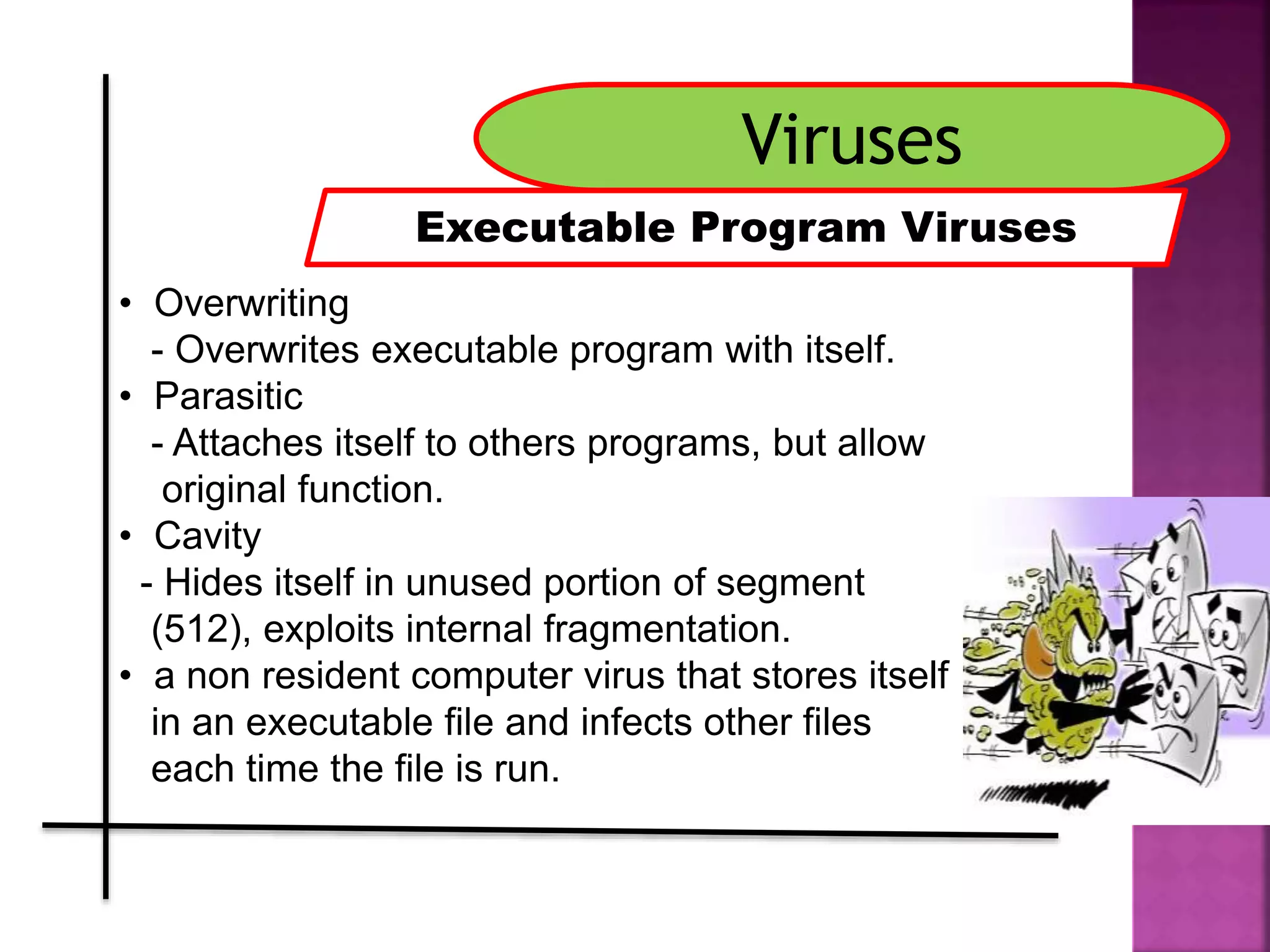 Viruses
Executable Program Viruses
• Overwriting
- Overwrites executable program with itself.
• Parasitic
- Attaches itself to others programs, but allow
original function.
• Cavity
- Hides itself in unused portion of segment
(512), exploits internal fragmentation.
• a non resident computer virus that stores itself
in an executable file and infects other files
each time the file is run.
 