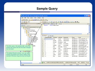 Sample Query The tabbed Results window—you can adjust window boundaries and column widths using standard Windows drag-and-drop techniques The SQL query—the asterisk after  .sql  on the window tab means the text has been changed but not saved 