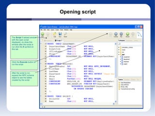 Opening script The  Script 1  tabbed window with the open script displayed—to close this window after the script is run click the  X  symbol on this tab Click the  Execute  button to run the script After the script is run, expand the WPC schema object to see the tables created by the script 