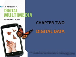 CHAPTER TWO
DIGITAL DATA
 