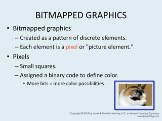 BITMAPPED GRAPHICS
• Bitmapped graphics
– Created as a pattern of discrete elements.
– Each element is a pixel or "picture element."
• Pixels
– Small squares.
– Assigned a binary code to define color.
• More bits = more color possibilities
10
 