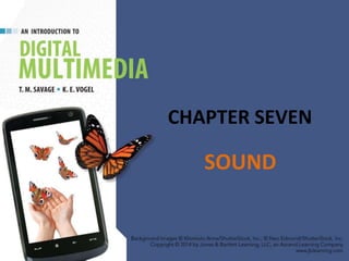 CHAPTER SEVEN
SOUND
 