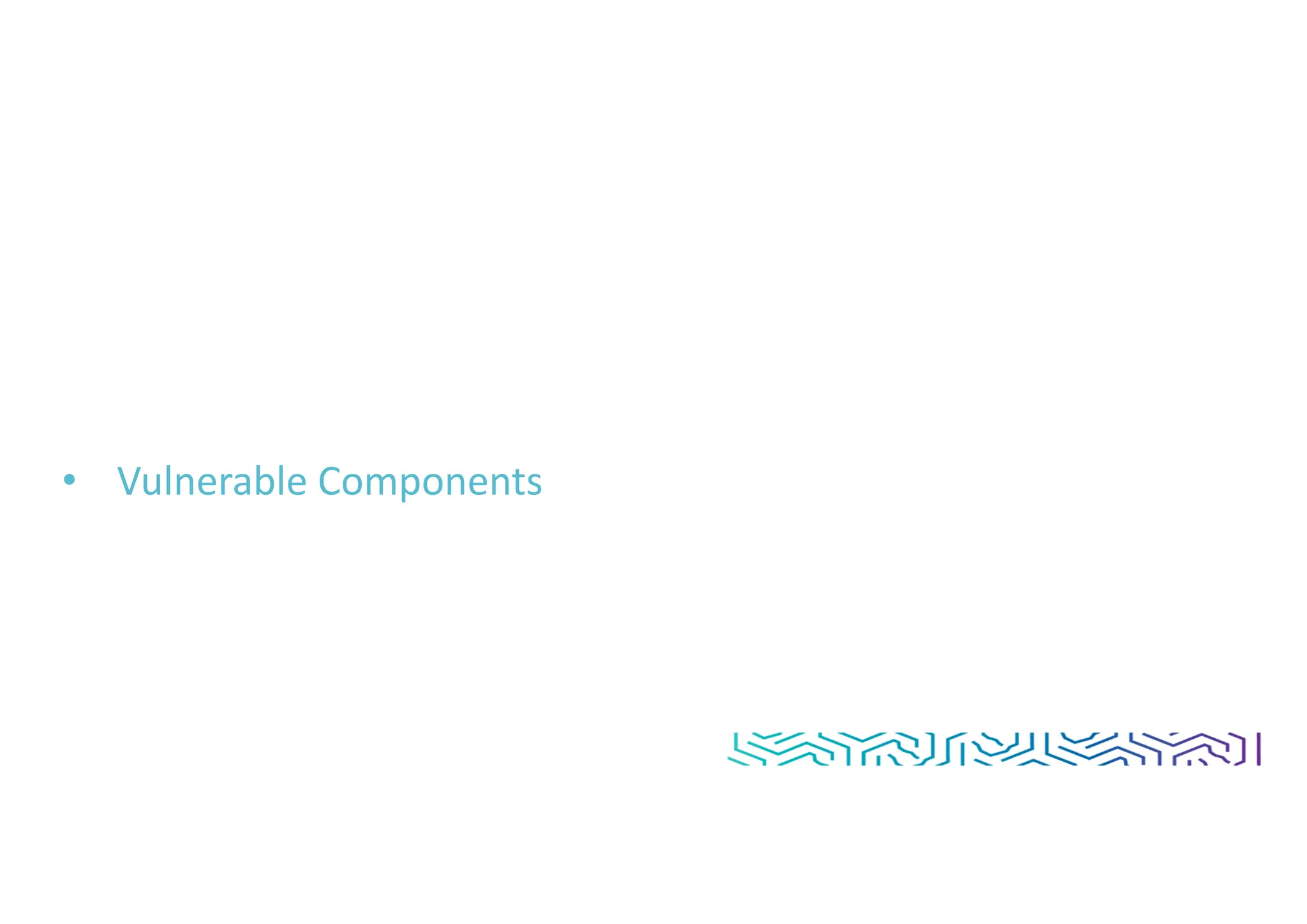 • Vulnerable Components
 