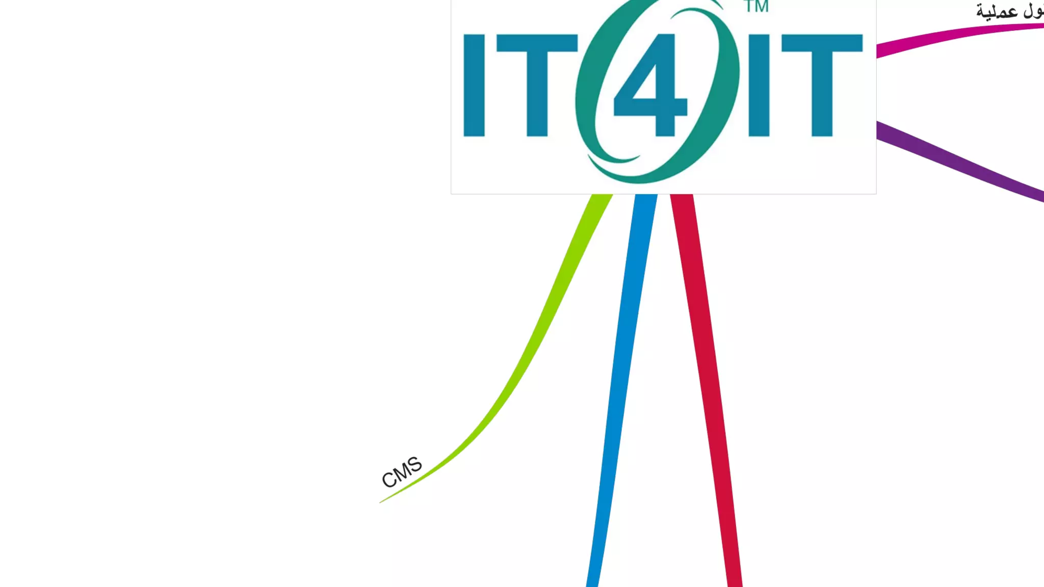 IT Management Course, be a good CIO - Day 2