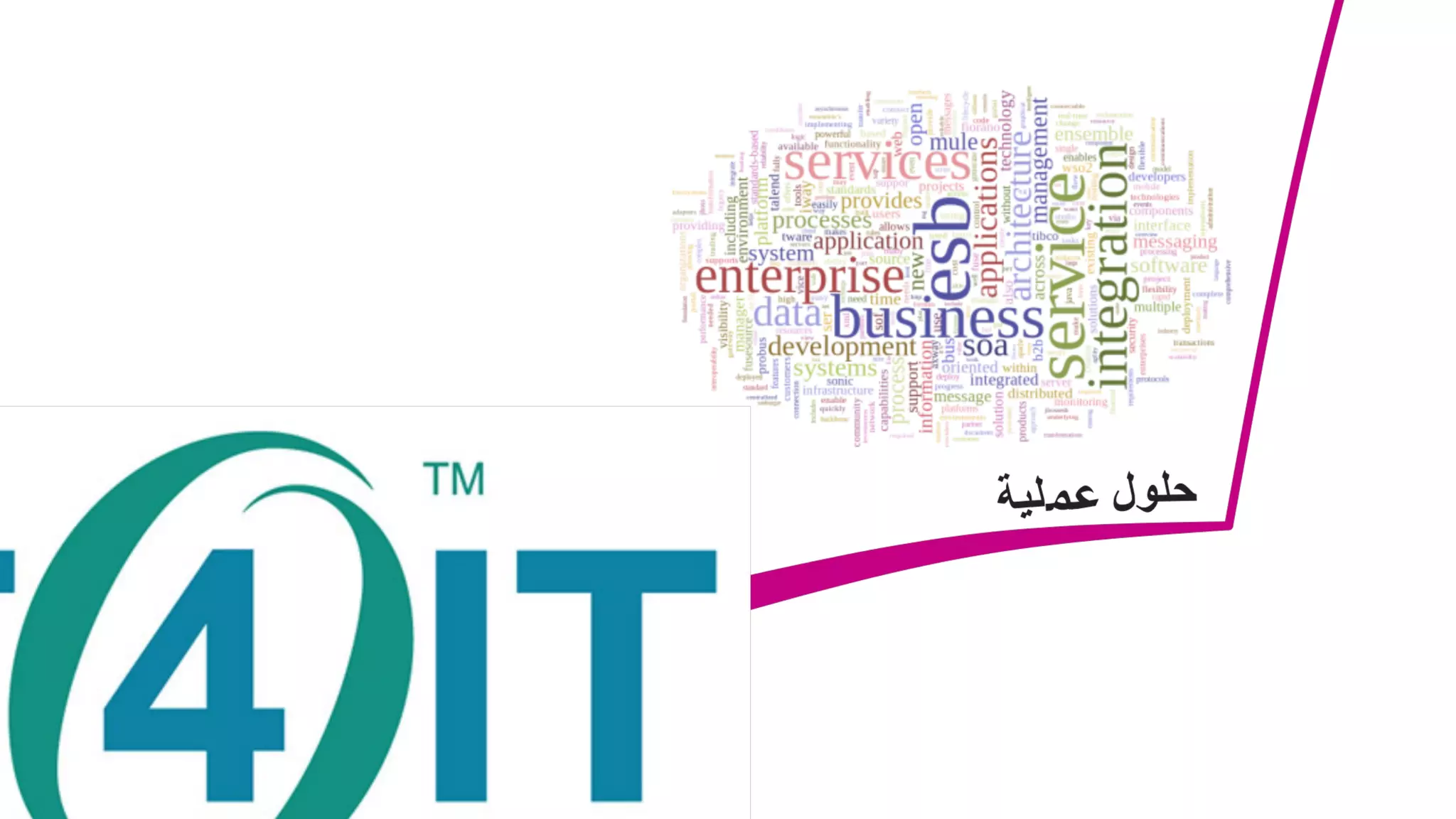 IT Management Course, be a good CIO - Day 2