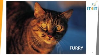 IT4IT overview 
• Industry standard for the “business of IT” 
launching this October at Open Group 
conference in London 
• Started out of discussions between Shell, 
HP and other customers 
• Intended to be more prescriptive and 
architectural than ITIL or COBIT 
• Emphasis on end to end IT value streams 
and conceptual data model 
• Similar in scope and intent to reference 
architectures such as eTOM and ARTS 
4 
 