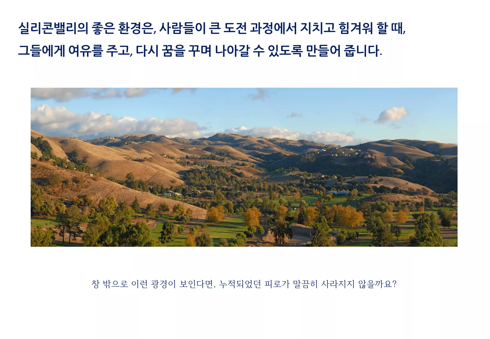 창 밖으로 이런 광경이 보인다면, 누적되었던 피로가 말끔히 사라지지 않을까요?
실리콘밸리의 좋은 환경은, 사람들이 큰 도전 과정에서 지치고 힘겨워 할 때,
그들에게 여유를 주고, 다시 꿈을 꾸며 나아갈 수 있도록 만들어 줍니다.
 