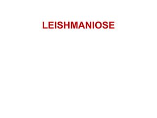 LEISHMANIOSE 
 