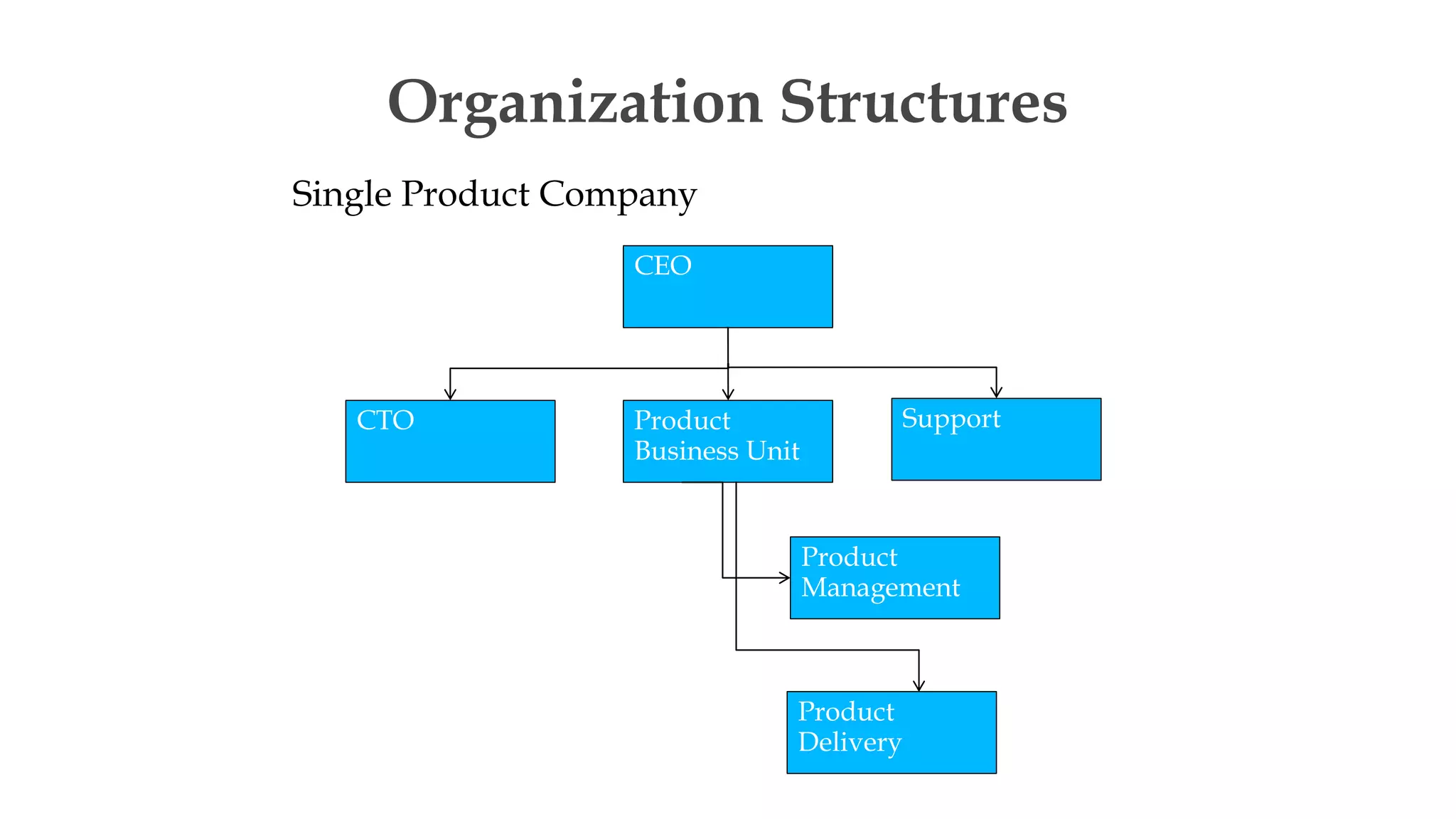 Organization Structures
Single Product Company
CTO
CEO
Product
Business Unit
Support
Product
Management
Product
Delivery
 