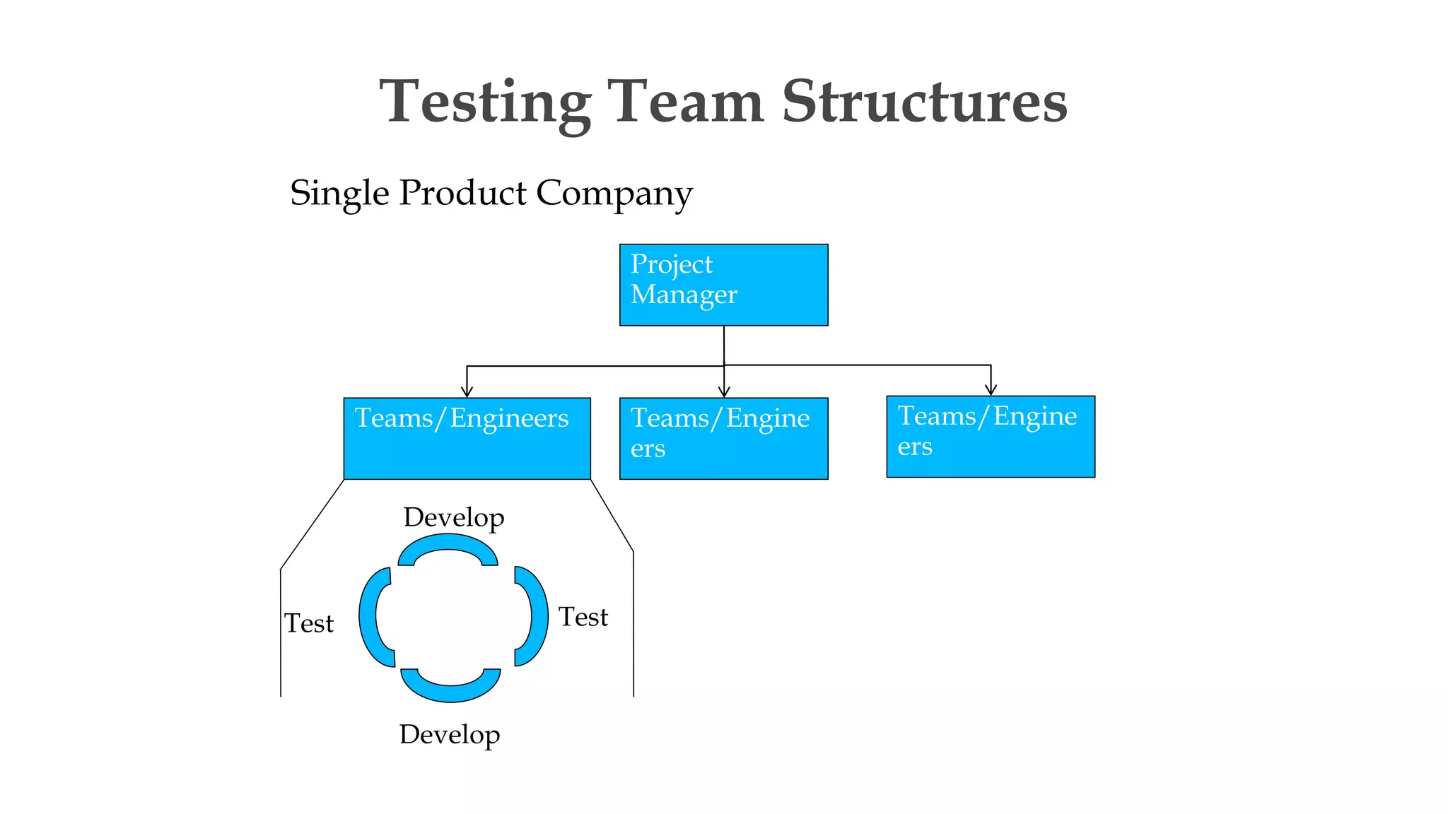 Testing Team Structures
Single Product Company
Teams/Engineers
Project
Manager
Teams/Engine
ers
Teams/Engine
ers
Develop
Test
Test
Develop
 