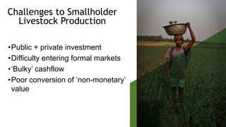 Informing tomorrow's livestock science: Opportunities to transform food systems in tropical developing regions