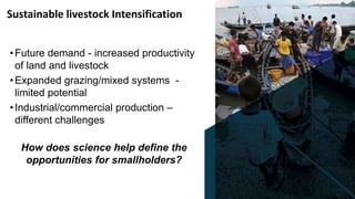 Informing tomorrow's livestock science: Opportunities to transform food systems in tropical developing regions