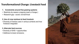 Informing tomorrow's livestock science: Opportunities to transform food systems in tropical developing regions