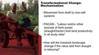 Informing tomorrow's livestock science: Opportunities to transform food systems in tropical developing regions