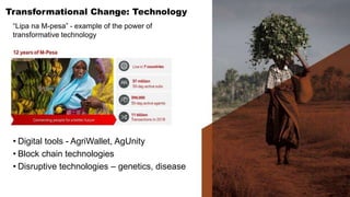 Informing tomorrow's livestock science: Opportunities to transform food systems in tropical developing regions