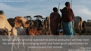 Productivity – intensification – animal welfare: Synergies or trade-offs? 