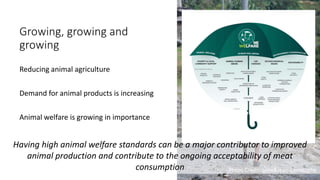 Productivity – intensification – animal welfare: Synergies or trade-offs? 