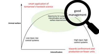 Productivity – intensification – animal welfare: Synergies or trade-offs? 