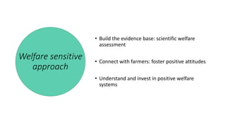 Productivity – intensification – animal welfare: Synergies or trade-offs? 