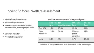 Productivity – intensification – animal welfare: Synergies or trade-offs? 