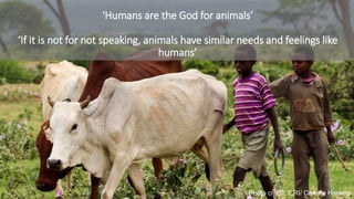 Productivity – intensification – animal welfare: Synergies or trade-offs? 