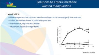 Success example: The potential for livestock methane mitigation