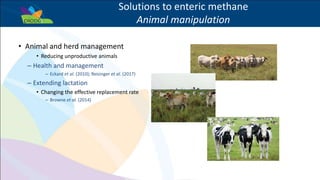 Success example: The potential for livestock methane mitigation