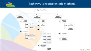 Success example: The potential for livestock methane mitigation