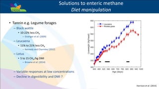 Success example: The potential for livestock methane mitigation