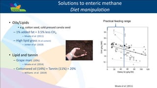 Success example: The potential for livestock methane mitigation