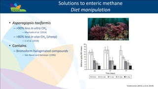 Success example: The potential for livestock methane mitigation
