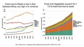 Let them eat meat? A solution or or a problem for a sustainable healthy future?