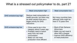 Let them eat meat? A solution or or a problem for a sustainable healthy future?