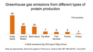 Let them eat meat? A solution or or a problem for a sustainable healthy future?