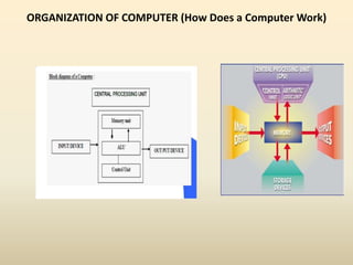 ORGANIZATION OF COMPUTER (How Does a Computer Work)
 