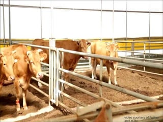 55 talk at iTAG Meeting, London, June 4, 2015 – Copyright Usama Fayyad © 2015
 